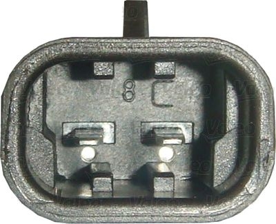 Elektrik motoru, cam krikosu